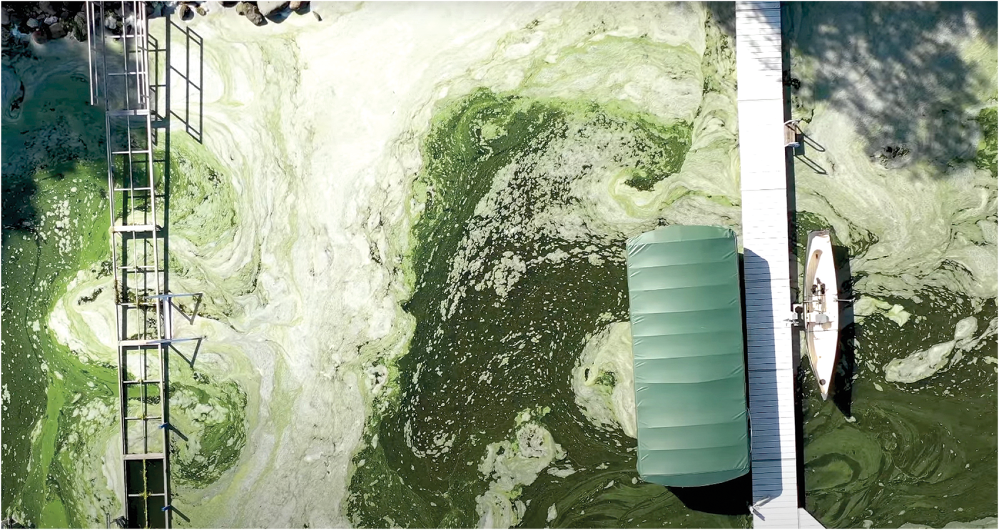 An algae bloom in 2018 along the southern shore of Lake Mendota in Madison, WI. Drone footage by Phil Brinkman.
