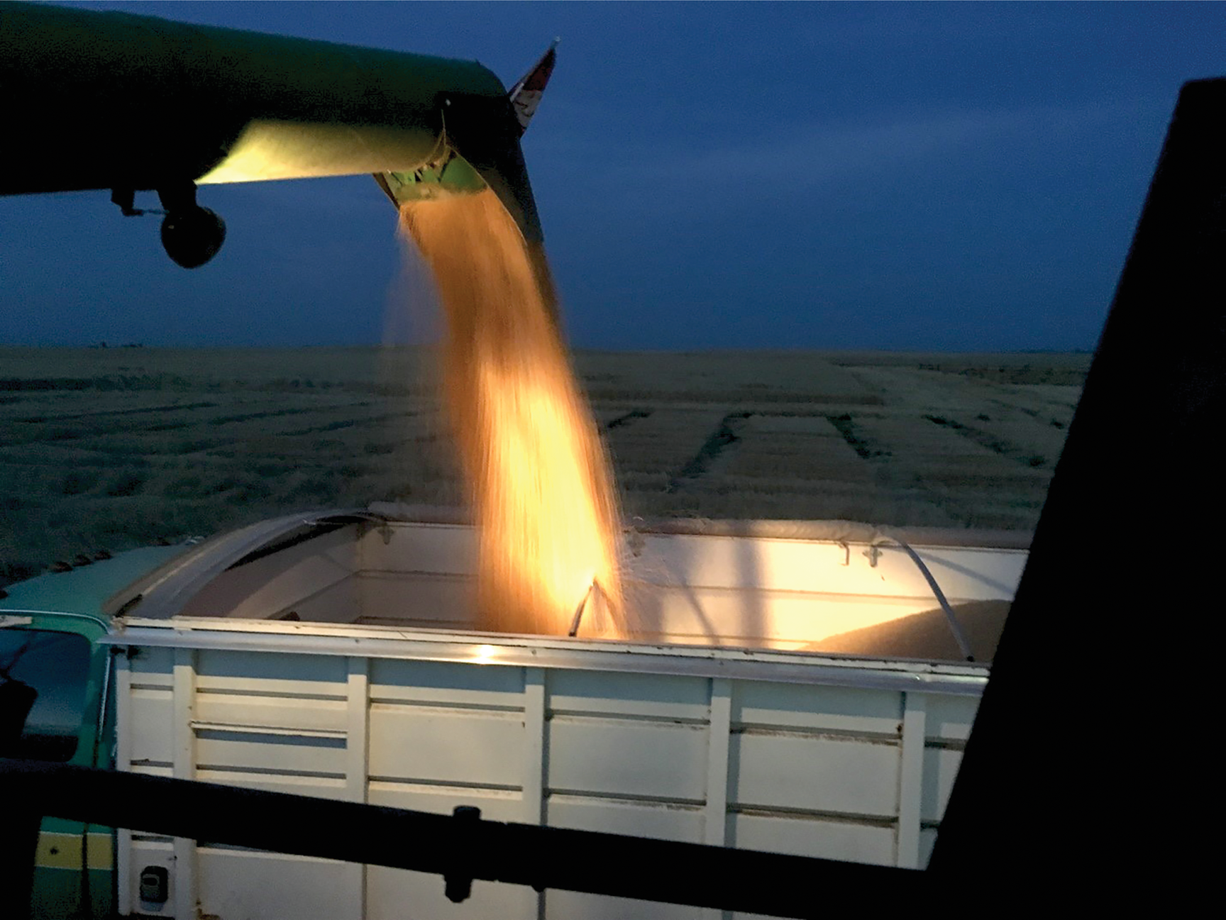 Winter wheat harvest across the Pacific Northwest is often referred to as the “end of the season” with farmers calculating yields and assessing quality grades. It is important to assure you have representative samples for grain protein or make sure your local co-op will provide this data on your grade sheets.