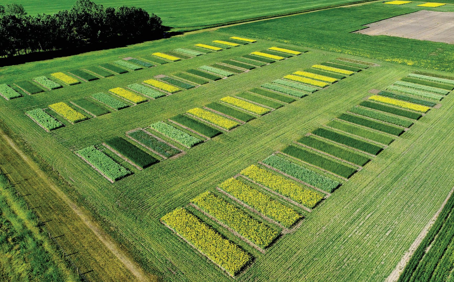 Photo courtesy of Greg Semach, AAFC Beaverlodge. Beaverlodge is one of the locations of the study described in this article.