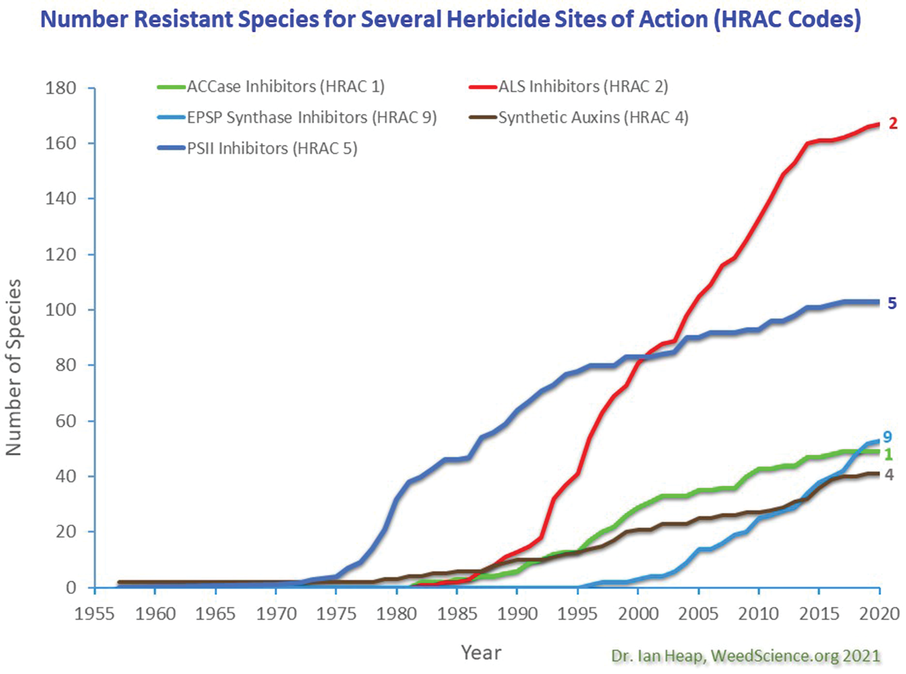 Figure 1. The number of resistant species for several herbicide sites of action by herbicide group (HRAC code). Source: Ian Heap, weedscience.org.