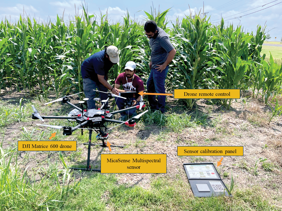Texas A&M AgriLife Research team planning for a UAS data collection in a corn field.