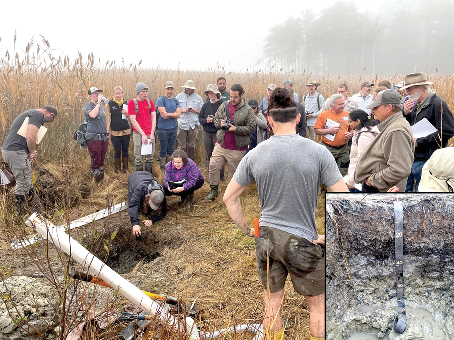 Figure 1. Examining the exposed soil profile of a submerged upland marsh at the Chesa- peake Environmental Center on the opening foggy morning of the tour. Photos by Lorene Lynn and Grace Bodine.