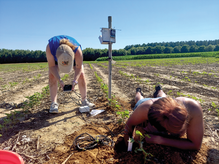 Digital agriculture is emerging as one of the best strategies to de- tect what the crop needs and deliver the right amount of water,  nutrients, and other inputs to the crop at the right time and in the right place. Here two lab technicians install a soil water potential sensor in the ground. Photo by Sayantan Sarkar.