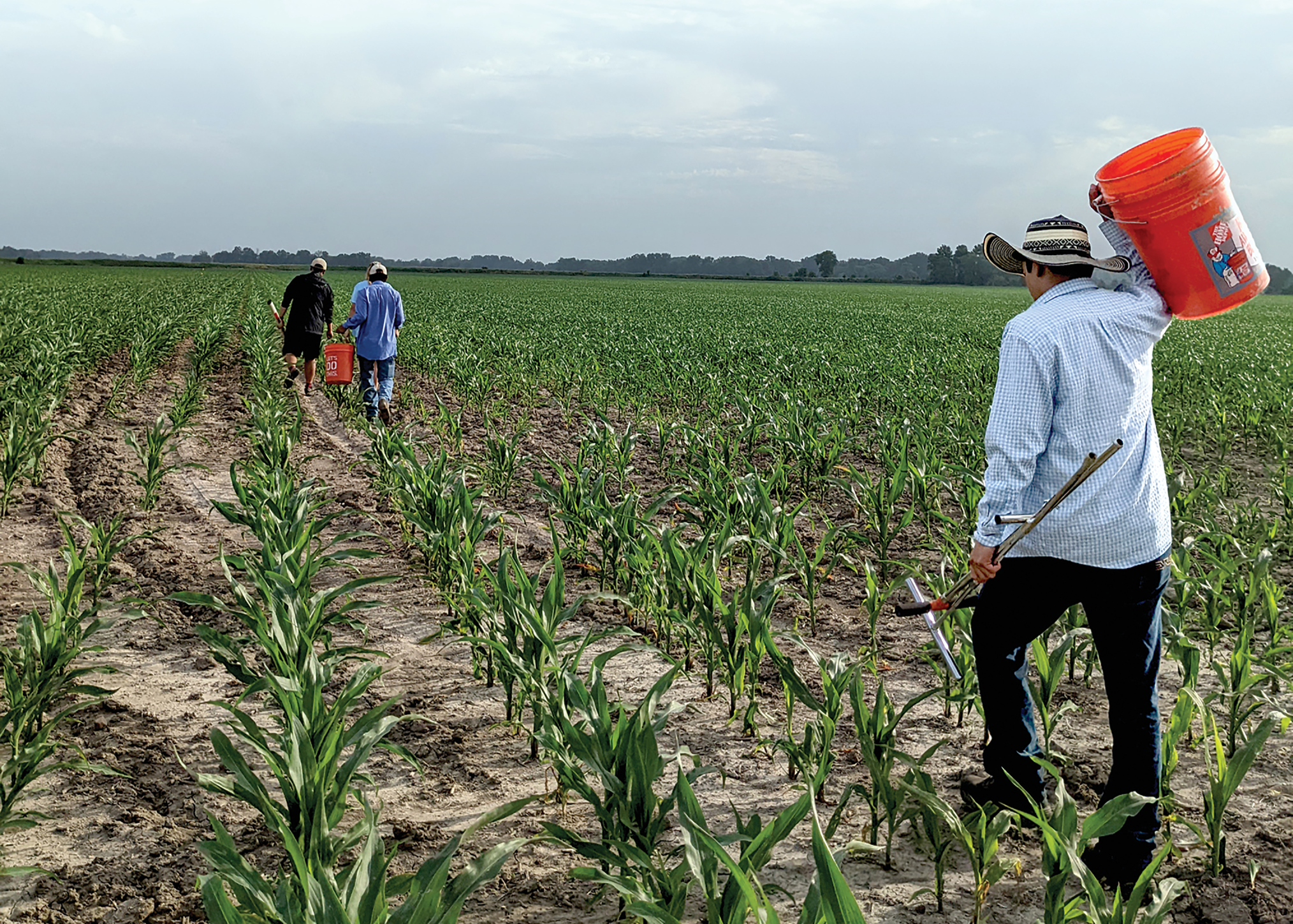 Tips for Field Data Collection This Growing Season