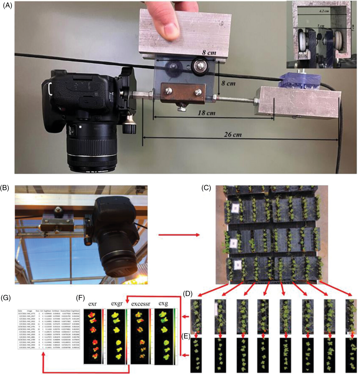 Figure 1. Imagery data collection process overview: (a) cart specifications to carry the camera, (b) image capture from a digital single-lens reflex camera on custom greenhouse  rail mount, (c) image captured of multiple experimental units on a bench, (d) image ro- tation and grid extraction of uniform individual experimental units, (e) image segmenta- tion through Otsu thresholding and mathematical morphology operations to isolate plant  leaves from background and tendrils, (f) generation of index values a