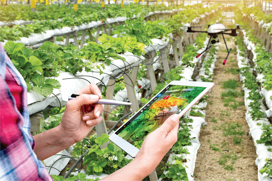 Multispectral imaging from cameras and line sensors and thermal imaging have fallen in price over the last decade thanks to advances in the technology. Photo concept courtesy of Adobe Stock/zapp2photo