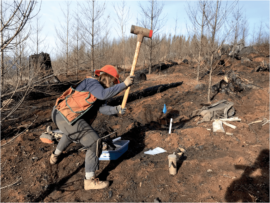 Hammering the soil core into the soil to collect a sample down to 30 cm. Photo courtesy of K. McCool.