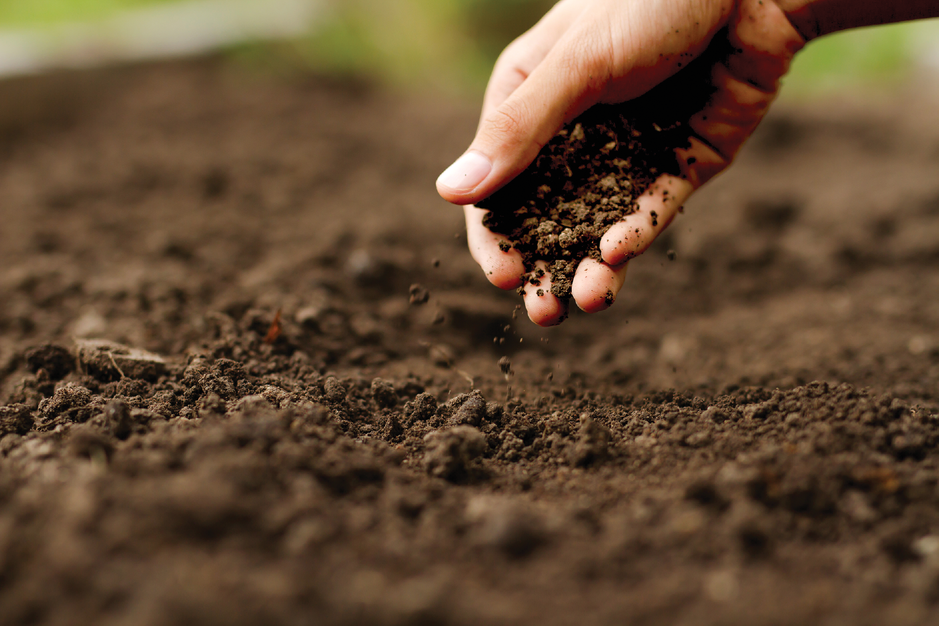 Citation management is as important as soil management. Photo courtesy of Adobe Stock/piyaset.