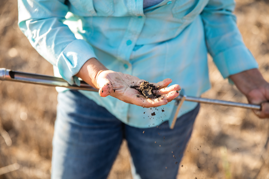 Fall is a common time, especially in the Midwest, to measure nitrogen levels and soil health levels in general. Photo courtesy of the United Soybean Board and published under this license: https://creativecommons.org/licenses/by/2.0/.