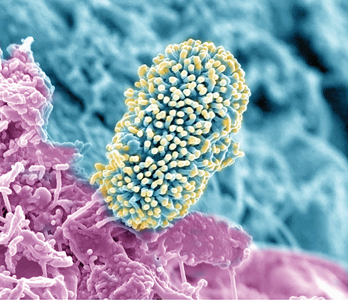 Soil microbial diversity varies among different ecosystems and plays a crucial role in regulating nutrient cycling and mobilization, water holding, and organism matter decomposition. Photo courtesy of Flickr/Pacific Northwest National Laboratory and published under this license: https://creativecommons.org/licenses/by-nc-sa/2.0//