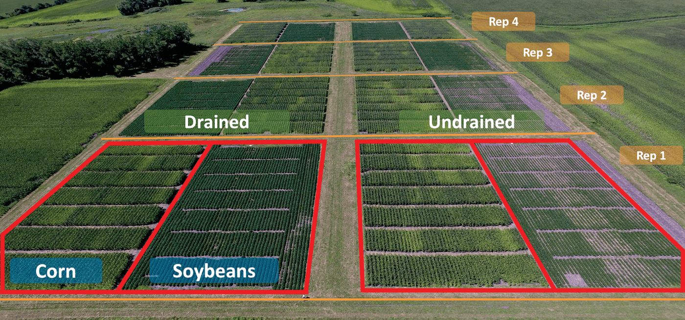 Aerial view of the study site near Wells, MN with drained and undrained blocks replicated four times containing corn and soybean crops and nitrogen treatments. Photo by Gabriel Paiao.