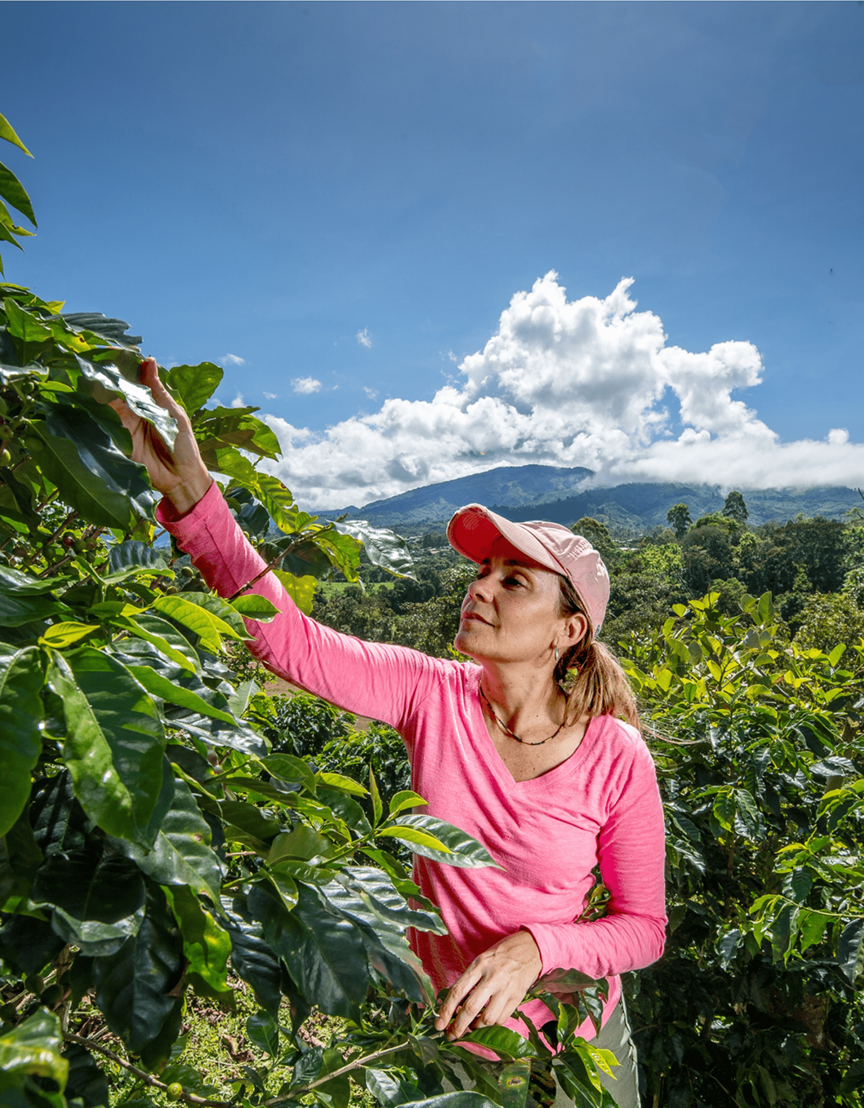 Bowie State University mycologist Priscila Chaverri at a coffee farm in San Marcos de Tarrazú, Costa Rica. Chaverri studies how agroforestry and organic farming affect fungal endophytes in coffee. Photo by E. Remsberg.