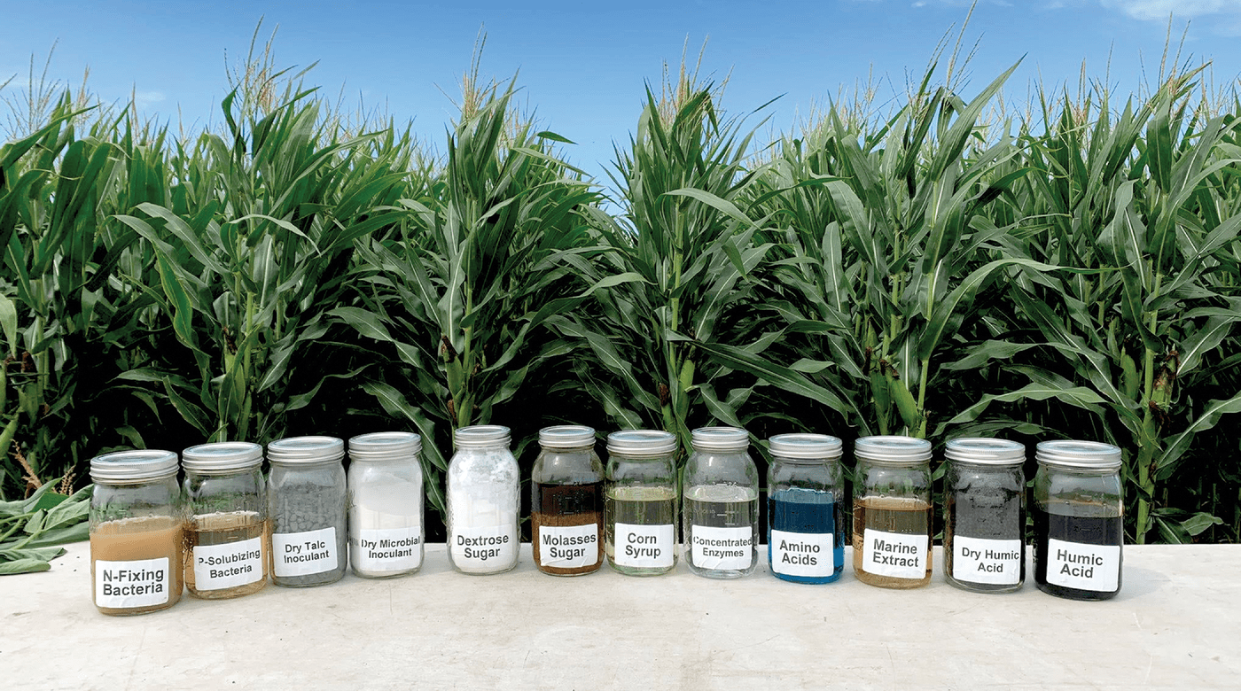 The U.S. government's 2023 farm bill incentivizes the use of biologicals, which can improve root traits, nutrient cycling, and carbon seques- tration, ultimately reducing greenhouse gas emissions and increasing return on investment. Photo by Carolyn Opperman and originally published here https://acsess.onlinelibrary.wiley.com/doi/10.1002/crso.20263.