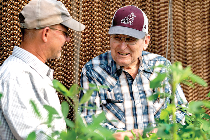 Co-authors John Cason (left) and Charles Simpson discuss wild species peanut in their greenhouses at Texas A&M AgriLife Research in Stephenville. Photo by Texas A&M AgriLife Multimedia.