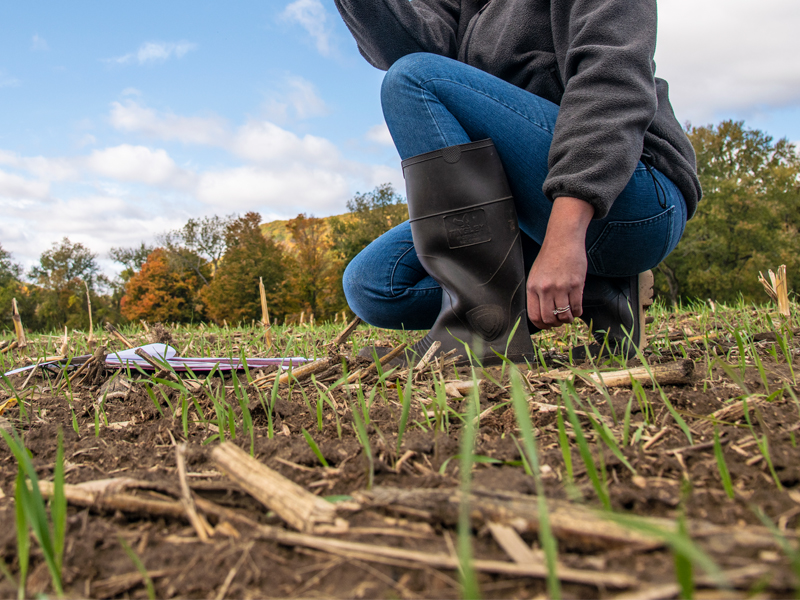 Person kneeling down in a field