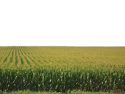 Source: Flickr/Richard Hurd (https://creativecommons.org/licenses/by/2.0/).