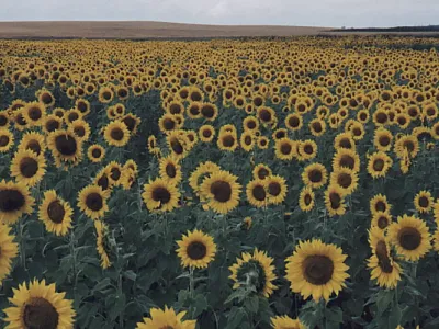 Source: Flickr/Robert Ashworth (https://creativecommons.org/licenses/by/2.0/).