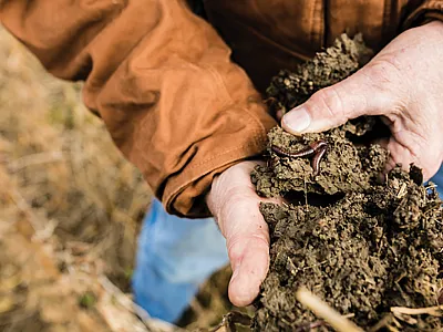 ©David Ike for The Nature Conservancy.