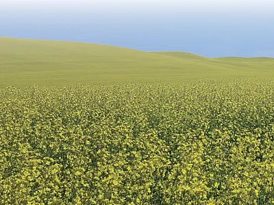 Photo courtesy of Haiying Tao.