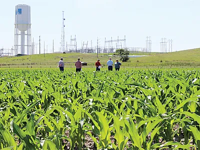 Testing Ag Performance Solutions, or TAPS, is an interactive, real-life farm management competition at the University of Nebraska–Lincoln. Source: UNL TAPS.