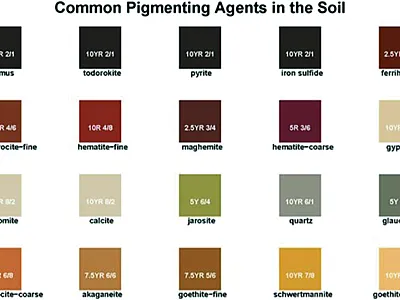 Figure 1, Open in figure viewer Pigment contribution of iron minerals and other soil constituents. Source: D.E. Beaudette, USDA-NRCS; Schwertmann, 1993.