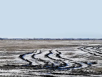 Combine ruts after soybean harvest. Source: Anthony Bly.