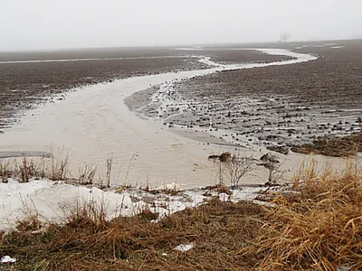Figure 2, Winter runoff causing ephemeral gully erosion after fall chisel plowing and manure injection with a drag hose the prior December. The gully eroded to the depth of manure injection and will be filled in (hidden) by spring field cultivation. Source: J. Grigar.