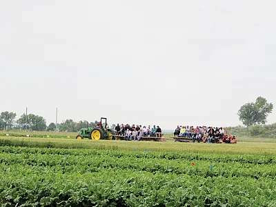 Sugarbeet growers gathering for a field day conducted by the University of Minnesota–Crookston. Sugarbeet cultivation in the Red River Valley of Minnesota and North Dakota contributes to most sugar production in the U.S.
