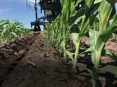 Photo by Brad Bernhard.