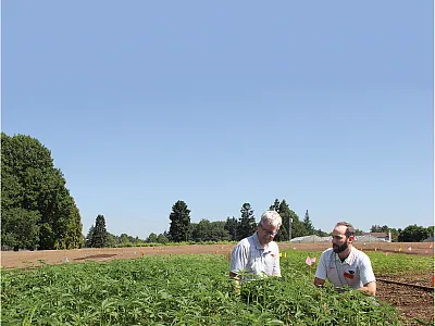 Jay Noller (left), director and lead researcher of the Oregon State University Global Hemp Innovation Center, and Lloyd Nackley, a hemp researcher, at the launch of the center. Photo courtesy of Oregon State University.
