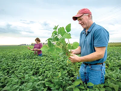 Photo courtesy of the United Soybean Board.