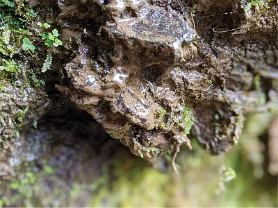 Photo by Shannon Cappellazzi.