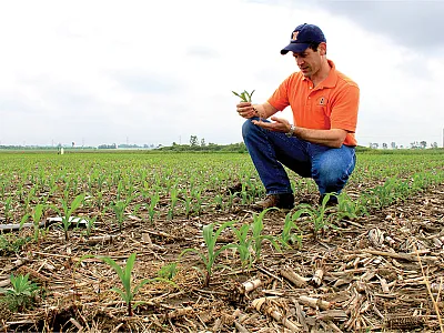 Fabián Fernández, a soil scientist and extension specialist at the University of Minnesota, is the author of a recent article in Agronomy Journal that examines how yield and root growth in corn and soybean crops are affected by tillage, fertilizer application rates, and fertilizer placement.