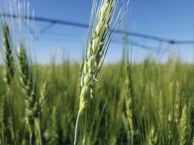 Photo by Danielle MacCallum.