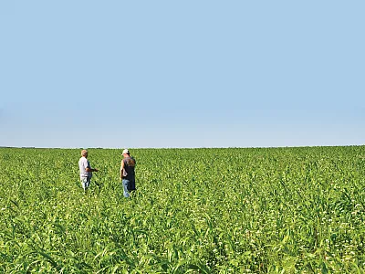 Iowa farmers look over a cover crop mixture. NRCS/SWCS photo by Lynn Betts.