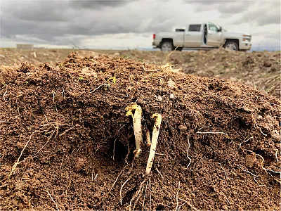 Photo by Tyler Thompson.