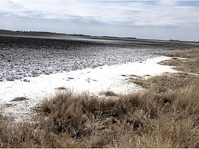 That’s not snow—it’s salt. Some areas on the righthand side of this photo are starting to look a bit better after four years. Photo submitted by Sharon Clay with the Journal of Environmental Quality article found here: https://doi.org/10.1002/jeq2.20223. The photo is not associated with any of the examples used in this article.