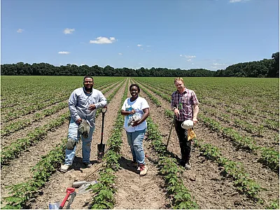 Soil sampling for organic carbon concentration measurement is done the same as for soil fertility testing, so it should be very familiar: you will want to collect a composite soil sample to a fixed depth.