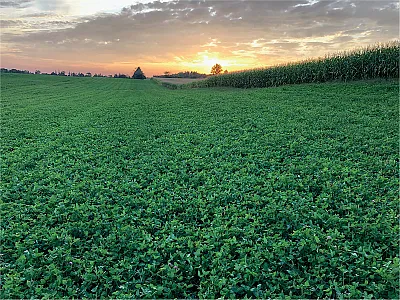 Sharing data on 4R practices can boost public confidence in farming outcomes.