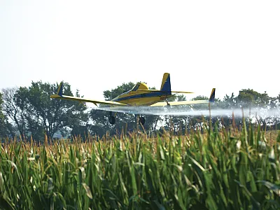 Photo courtesy of Adobe Stock/ronm.