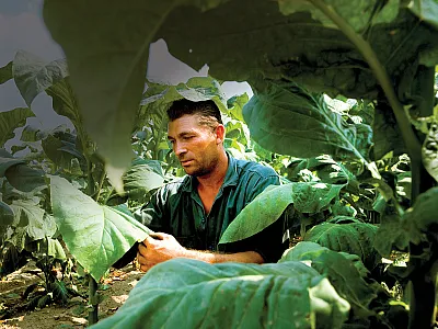 Photo by David Forbert/agefotostock.