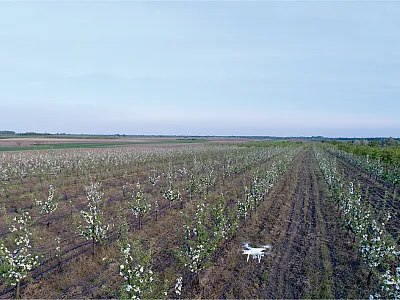 Photo courtesy of Adobe Stock/Budimir Jevtic.