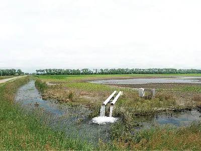 Double pump lift station. Photo courtesy of Tom Scherer.