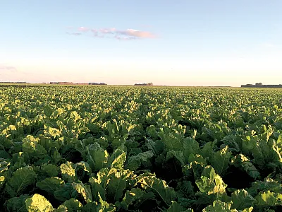 Photo by Jacob Ryan Osland.