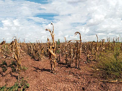 Photo by Bob Nichols/USDA.