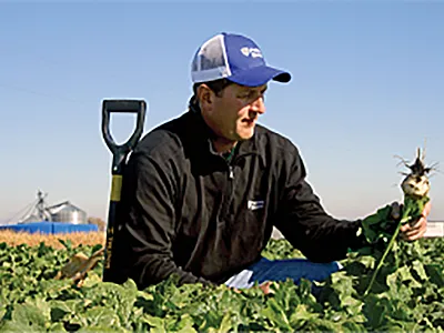 A CCA from Easton, MN, visits a recently harvested field to check on cover crop (tillage radish) progression. Photo by William Schrader.