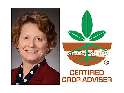 Janice Welsheimer, Executive Director of the Ohio CCA Program, has received the 2025 ICCA Administrative Excellence Award.