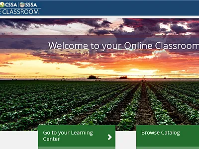 Online classroom