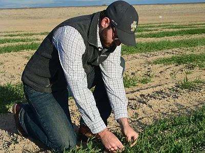 Dr. Christopher W. Rogers (USDA-ARS, Kimberly, ID) assessing early-season barley growth at the University of Idaho R&E Center/ USDA-ARS Small Grains and Potato Germplasm Unit (Aberdeen, ID).