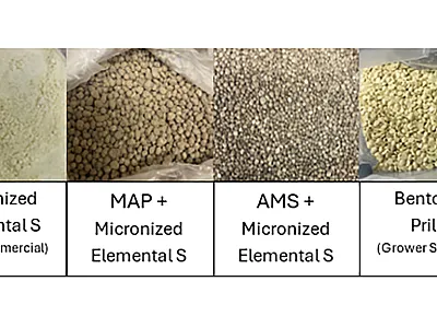 Figure 1. Elemental S sources evaluated, illustrating particle size and granulation effects on S oxidation potential. 